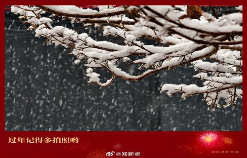葛夕对麦琳黄圣依打架事件作出回应强调购买熏鸡的决心